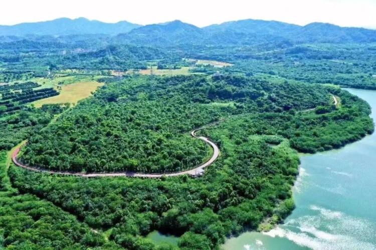 一起露营吧禾茂田园,一起露营吧广东话