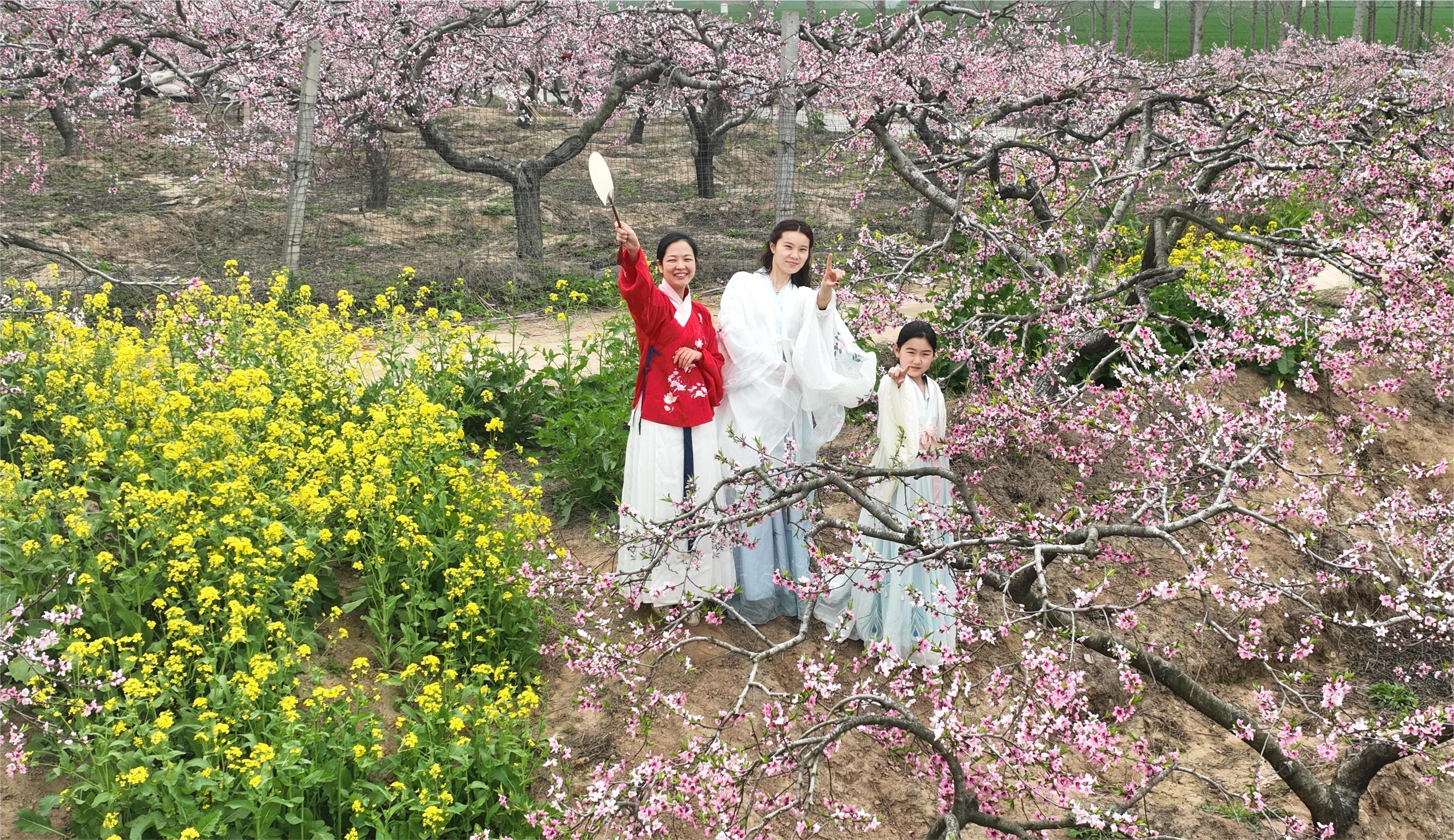 如诗如画最美田园风光,醉人的田园风光让人赏心悦目