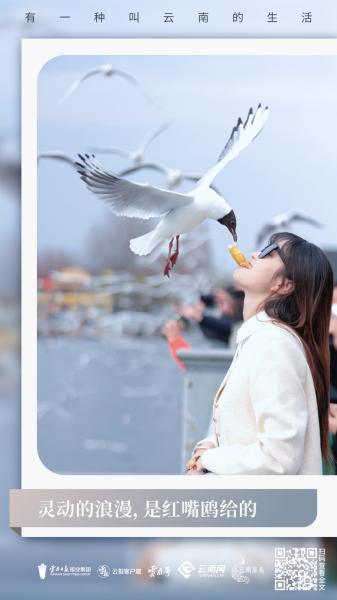 有一种治愈系风景叫云南的生活,有一种美叫云南的生活