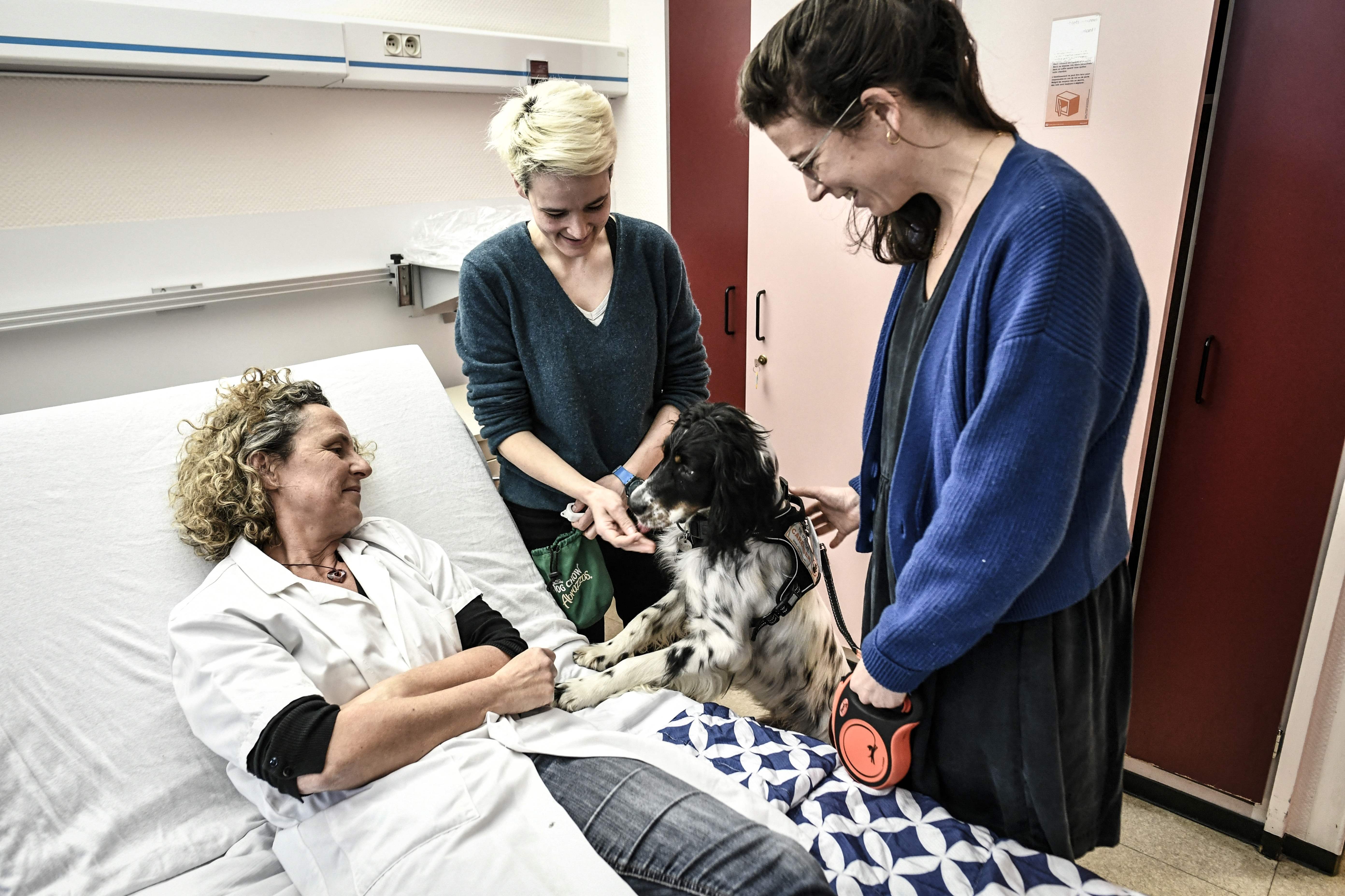 （外代一线）巴黎：帮助癌症患者的狗狗“医生”