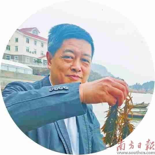 逐梦深蓝向海图强舞蹈,逐梦深蓝向海图强英语