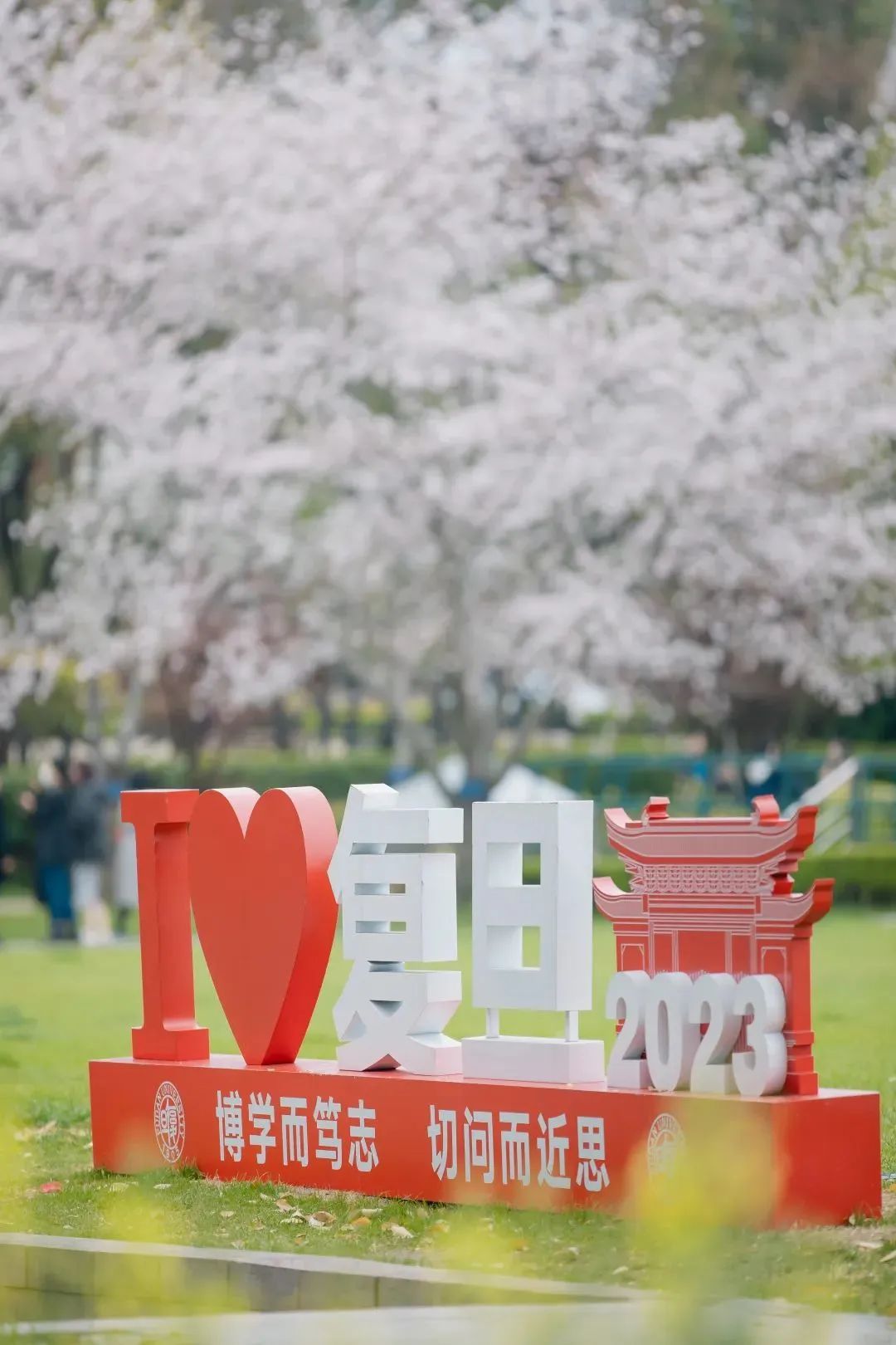 春日赏花先识花，识花先看这一篇~