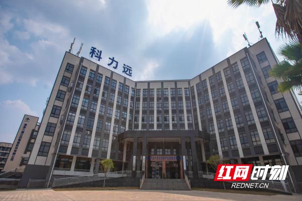 临武科力远新能源股份有限公司,科力远临武县锂矿