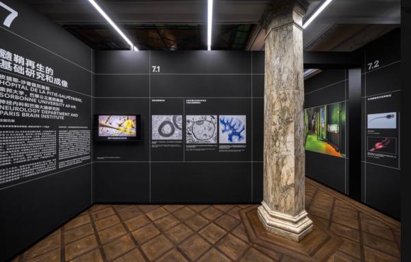 赵孟頫书法展,一周观展指南书画