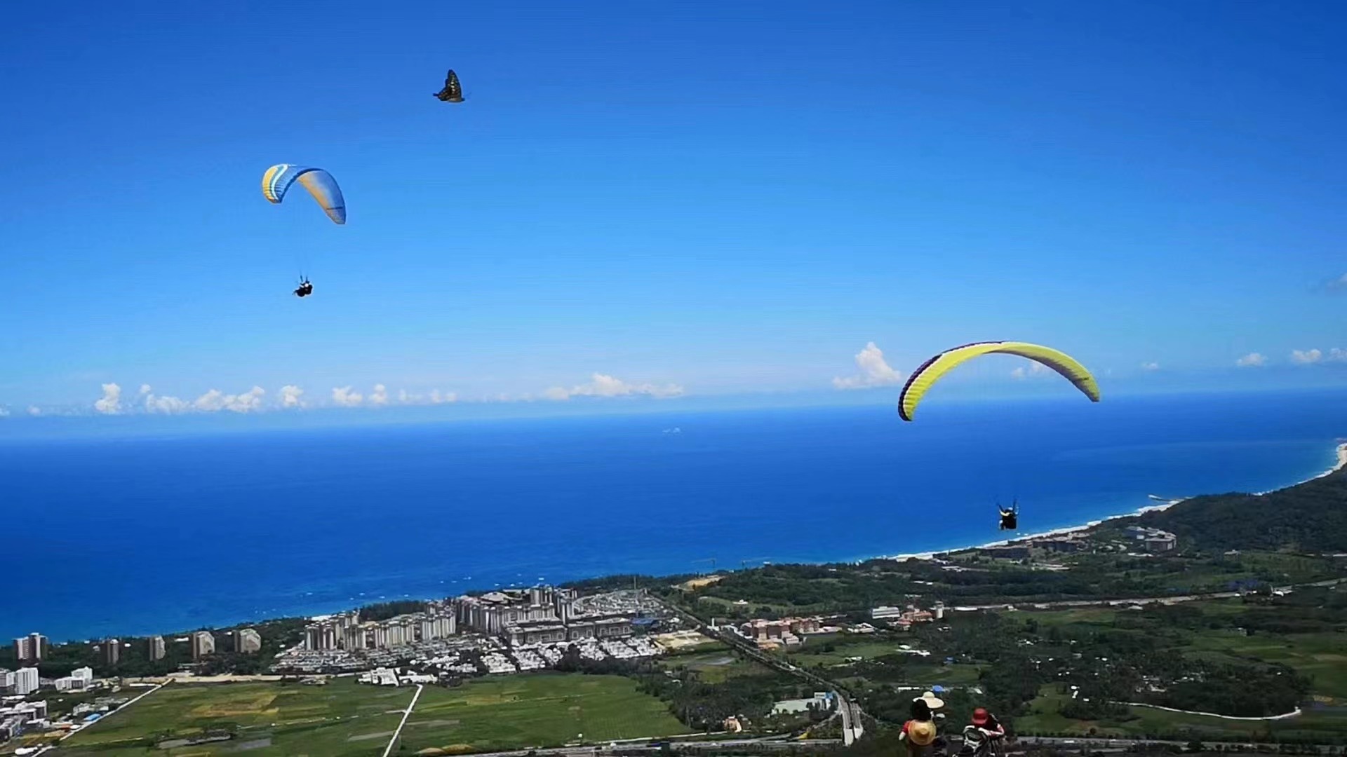 追光|海、陆、空!体育和自贸港更配哟
