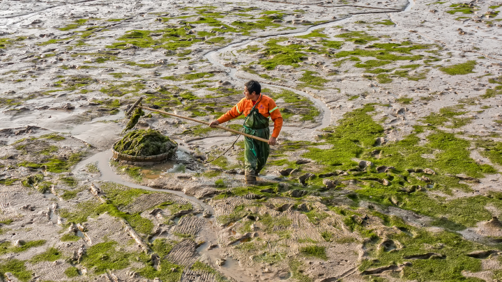感受大海的馈赠赶海抓海鲜的乐趣,海边赶海收获的更多海鲜