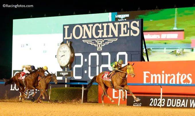 世界马匹最新排名出炉，谁是第一？