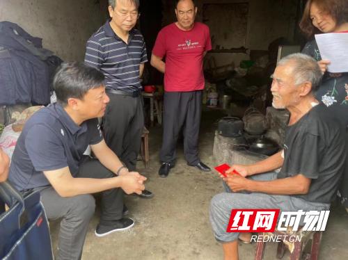 蘑菇伞的致富路,蘑菇撑开致富伞