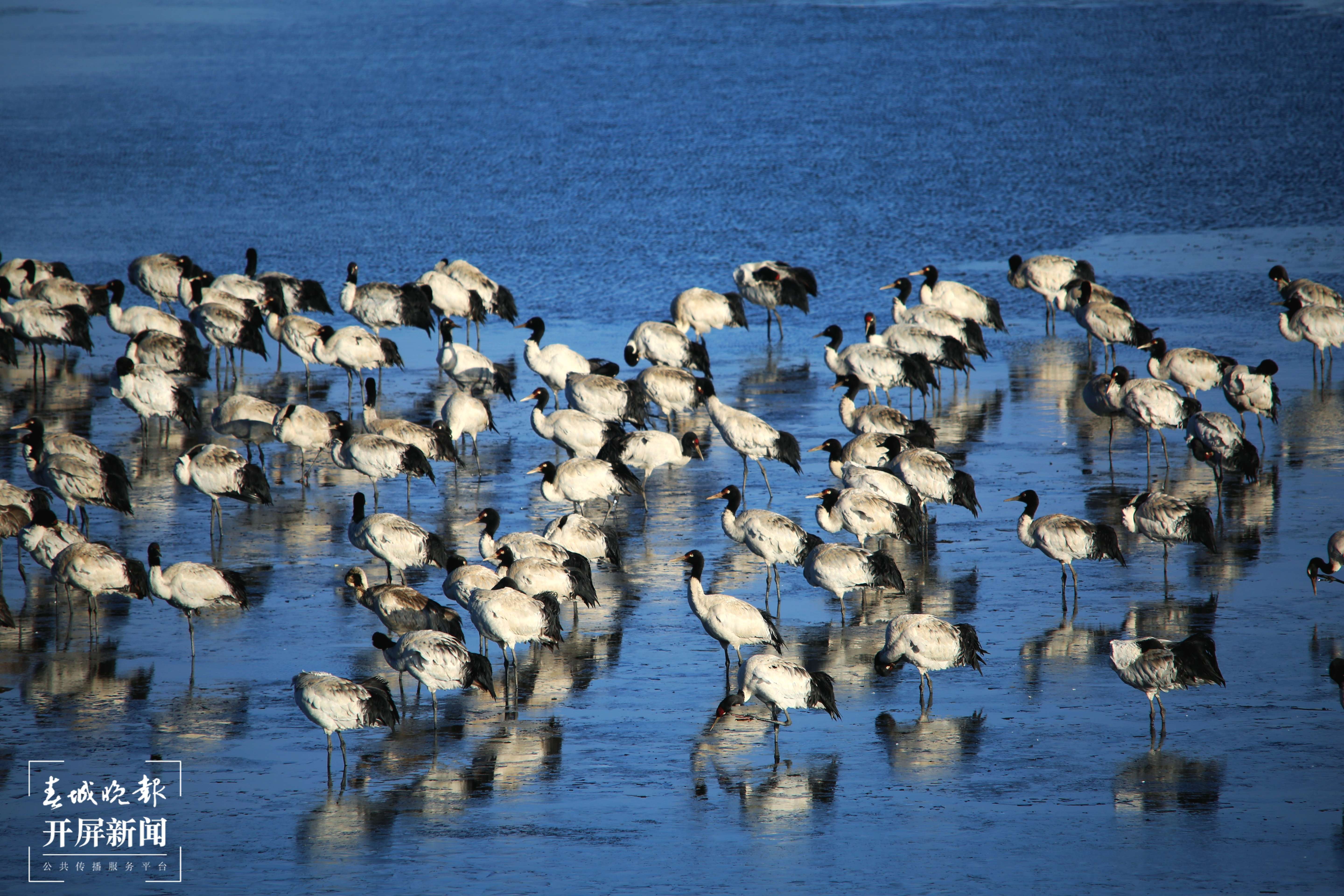 云南昭通有什么风情,云南昭通生活视频