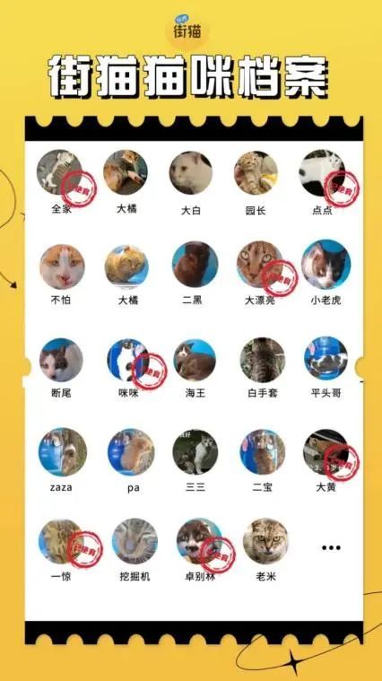 流浪猫自动喂粮器防蚂蚁,流浪猫自动喂猫粮