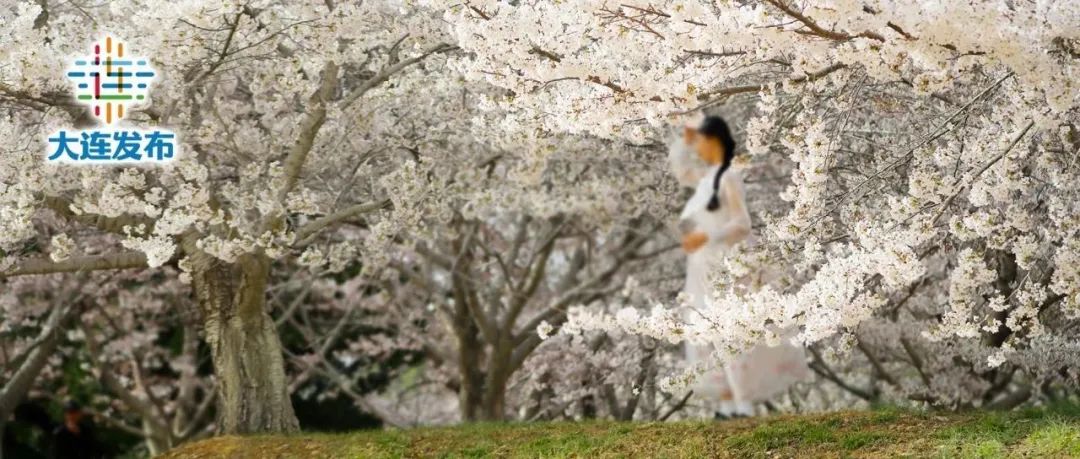 嗨玩万达广场,嗨玩大连团购