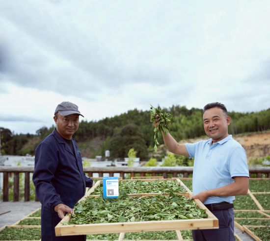 蚂蚁链提升储能产业链协作效率,蚂蚁链区块链