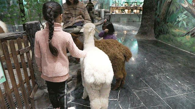 拒绝“特种兵”旅游内卷五一来湘潭“FUN”肆嗨