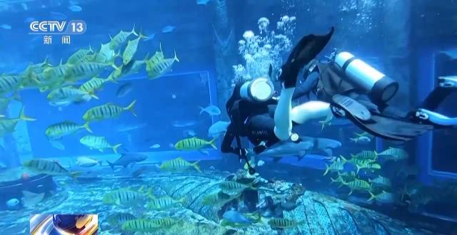 五一旅游风险,五一旅游有什么危险