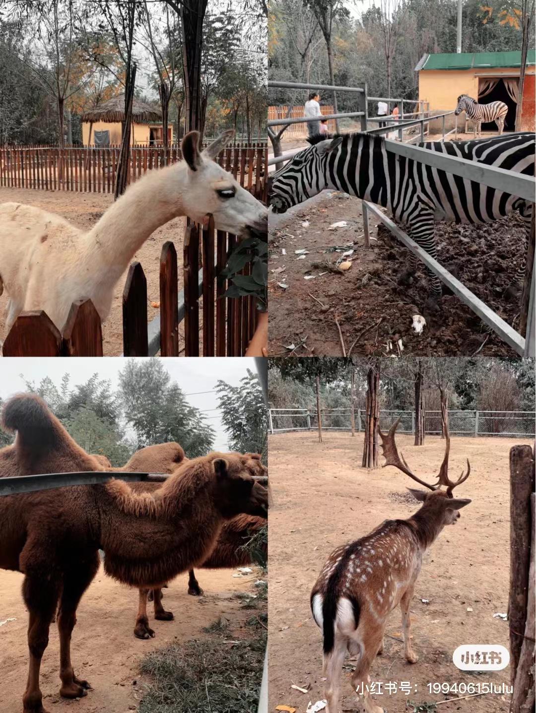 菏泽一日游旅游攻略,菏泽旅游攻略一日游