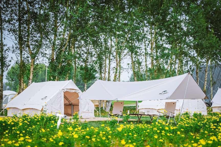 春天花正开沈阳正当时,春天花正开沈阳