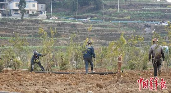 露天煤矿现场发现的问题,露天煤矿出现裂缝