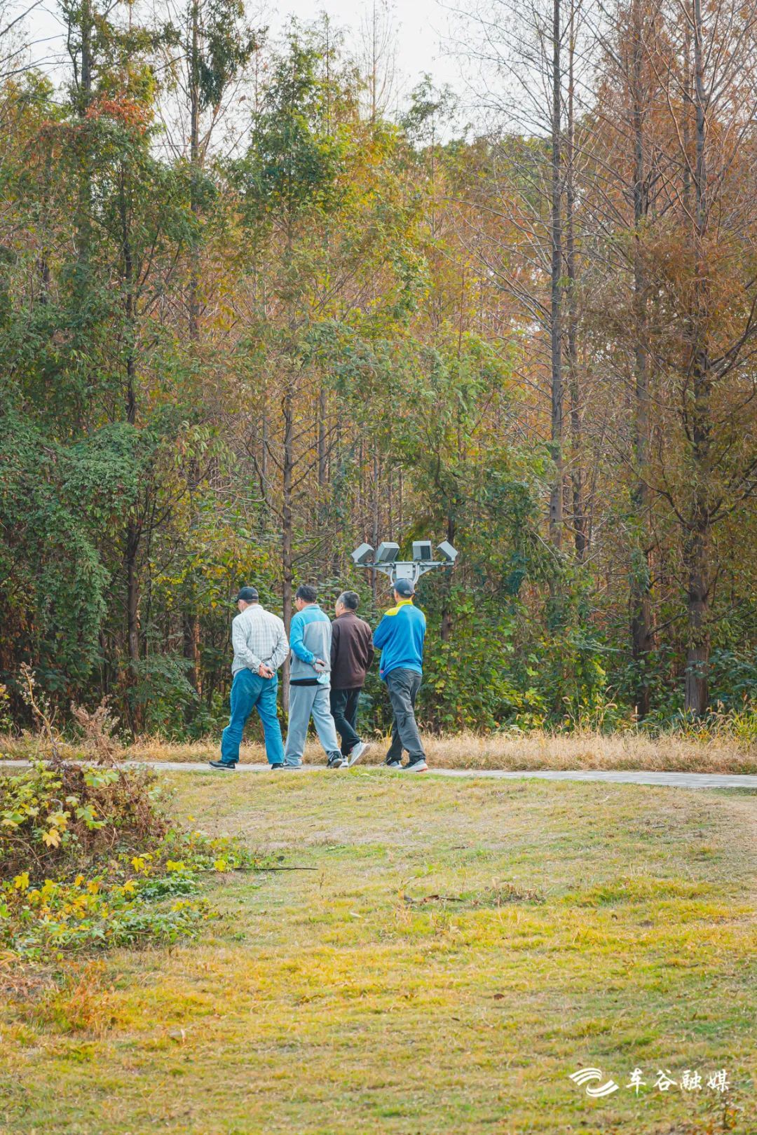 骑车打卡绿道,东湖绿道骑行享受闲暇时光