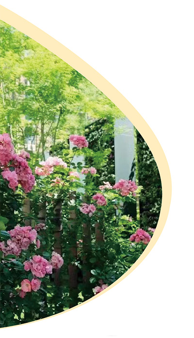 口袋公园建设情况,加强口袋公园的建设