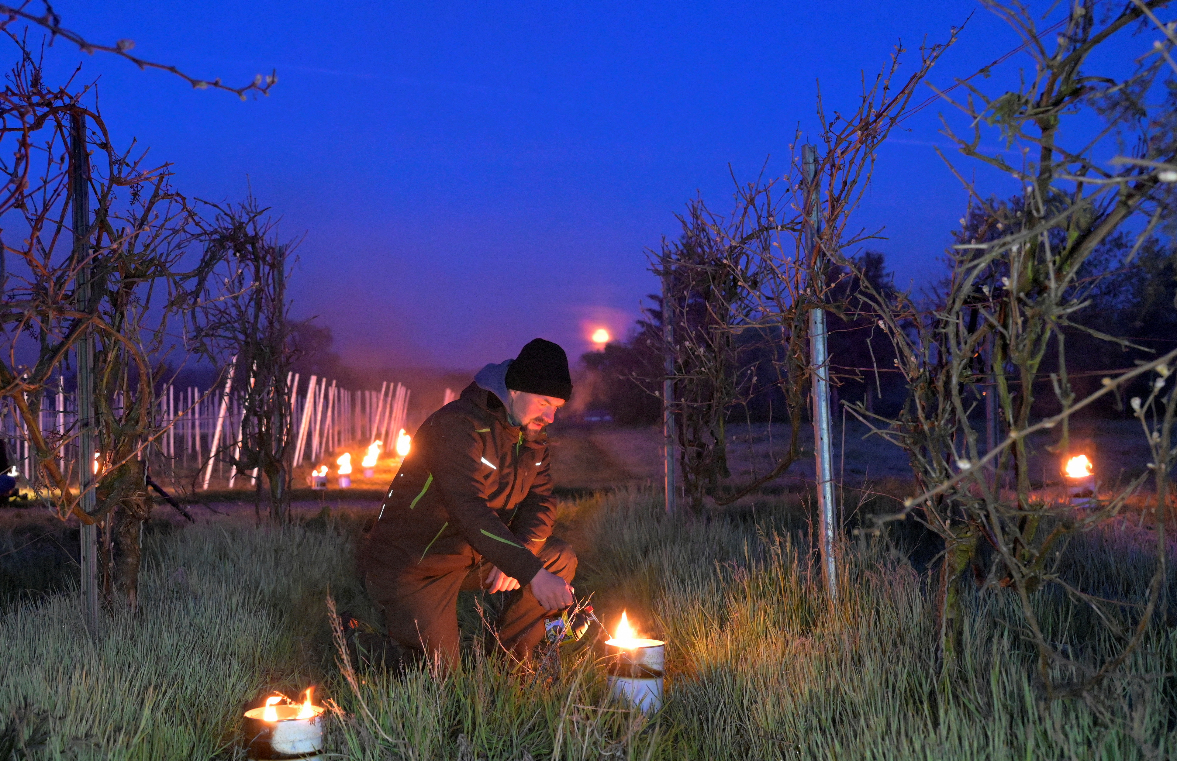 外代一线维也纳,外代一线西班牙