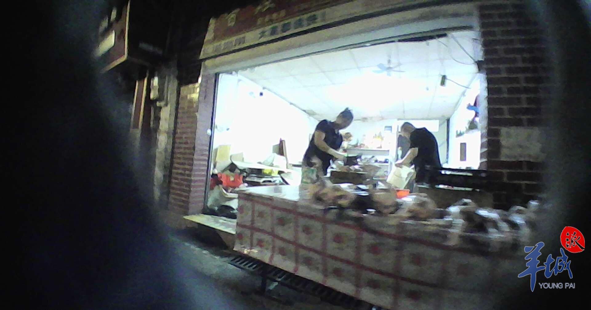 毛鸡最近消息,肉鸡毛鸡市场最新信息