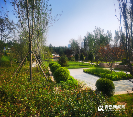 城阳白云山公园公示,城阳白云山公园最新变化