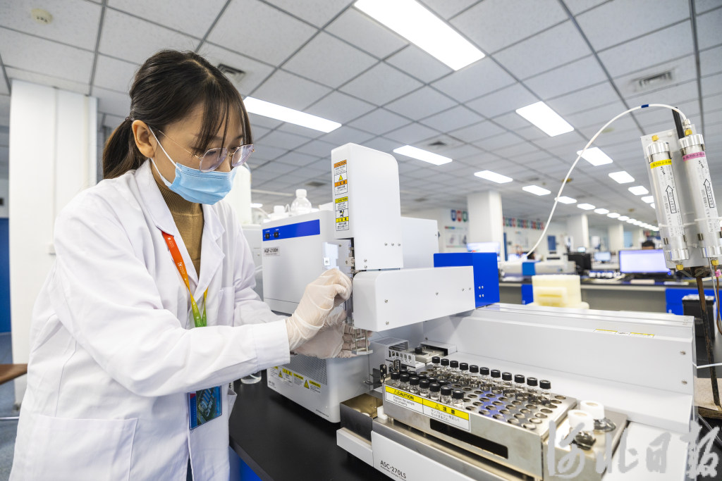 河北高质量发展新脉动|一家单项冠军企业的创新“晶彩”