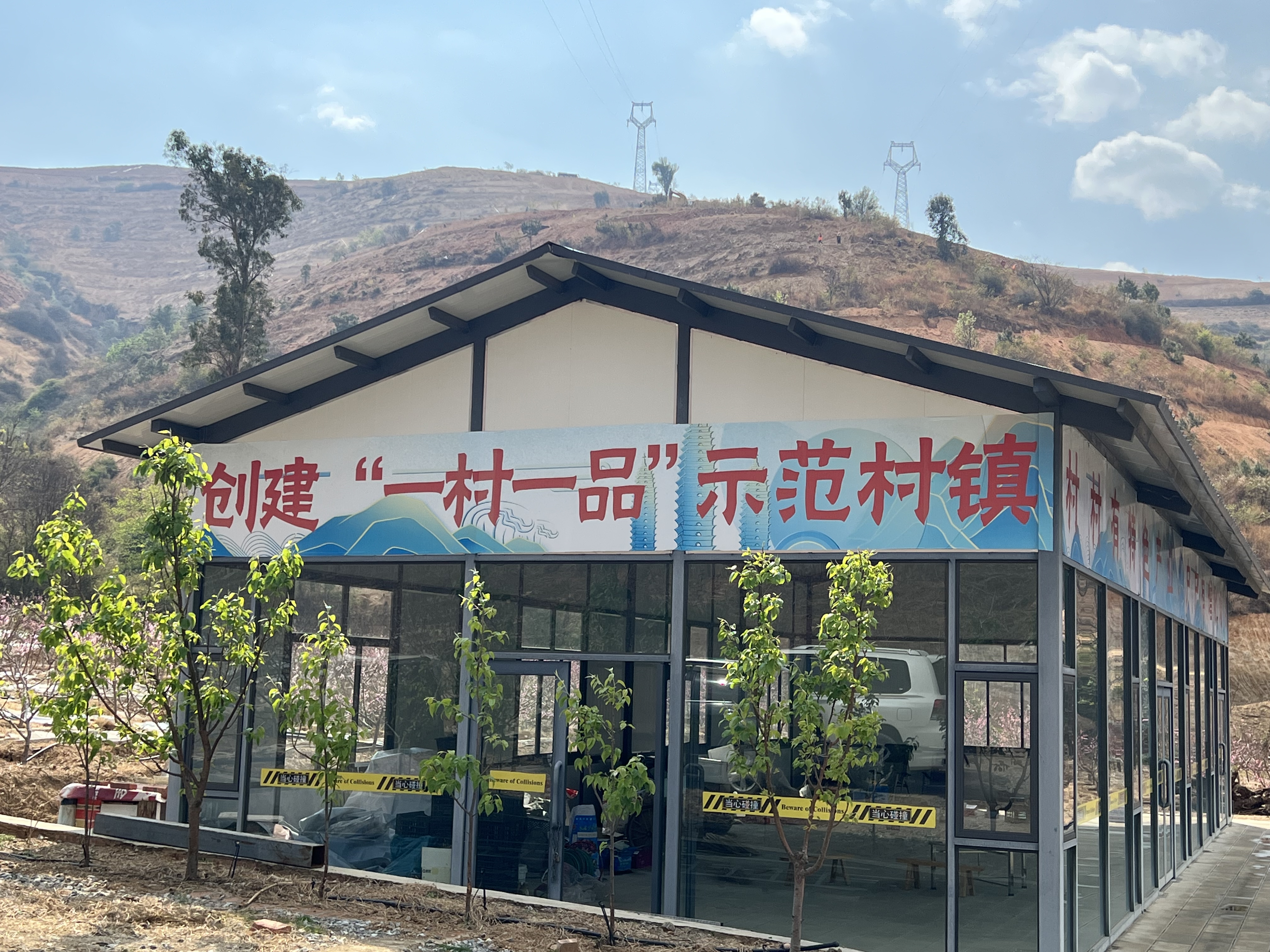 乡村振兴荒山变成花果山,大理乡村振兴图