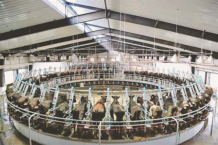 北大荒供应链全国绿色食品,粮食企业北大荒