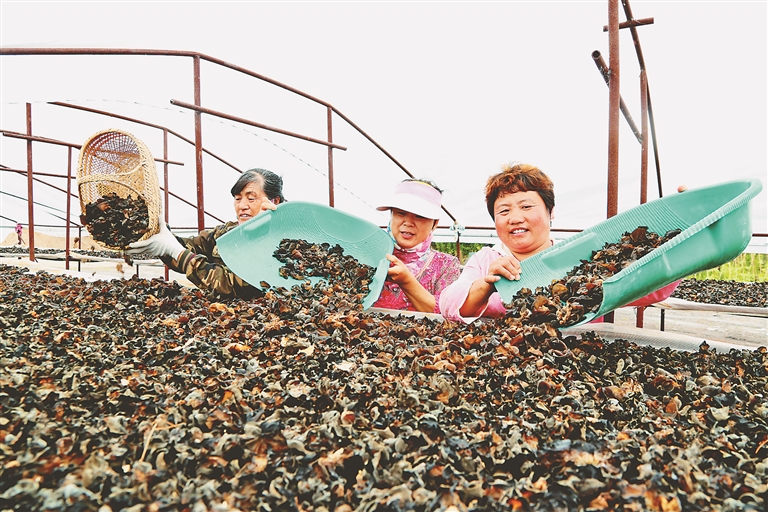北大荒供应链全国绿色食品,粮食企业北大荒