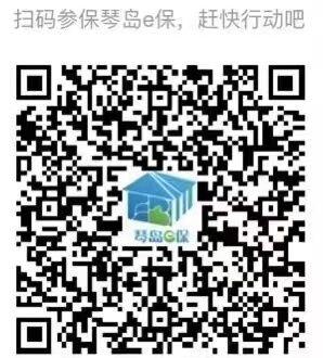 2024年琴岛e保怎么购买,2023琴岛e保什么时间买