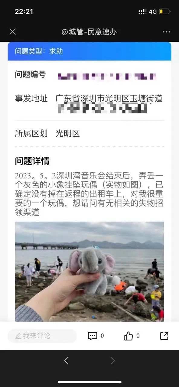 “深圳全城网友找小象”后续来了！深晚直接送！