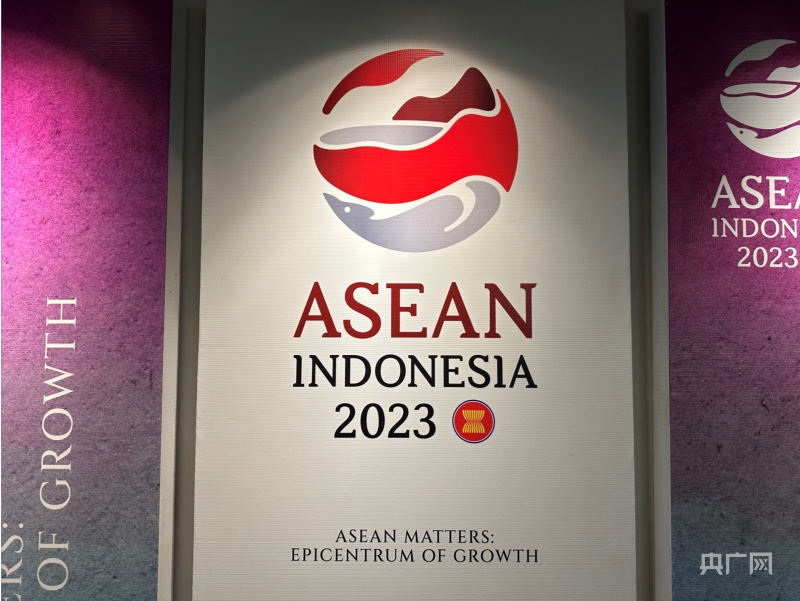 总台记者看世界,印尼传统服饰峰会