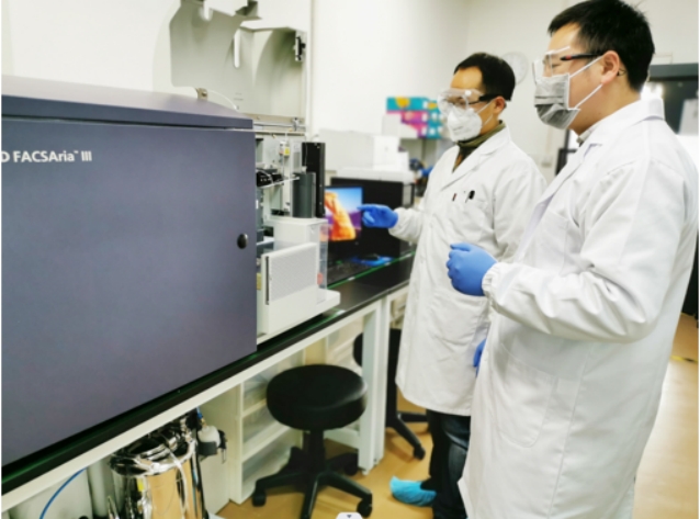 济民可信文旅投资有限公司,济民可信新能源有限公司