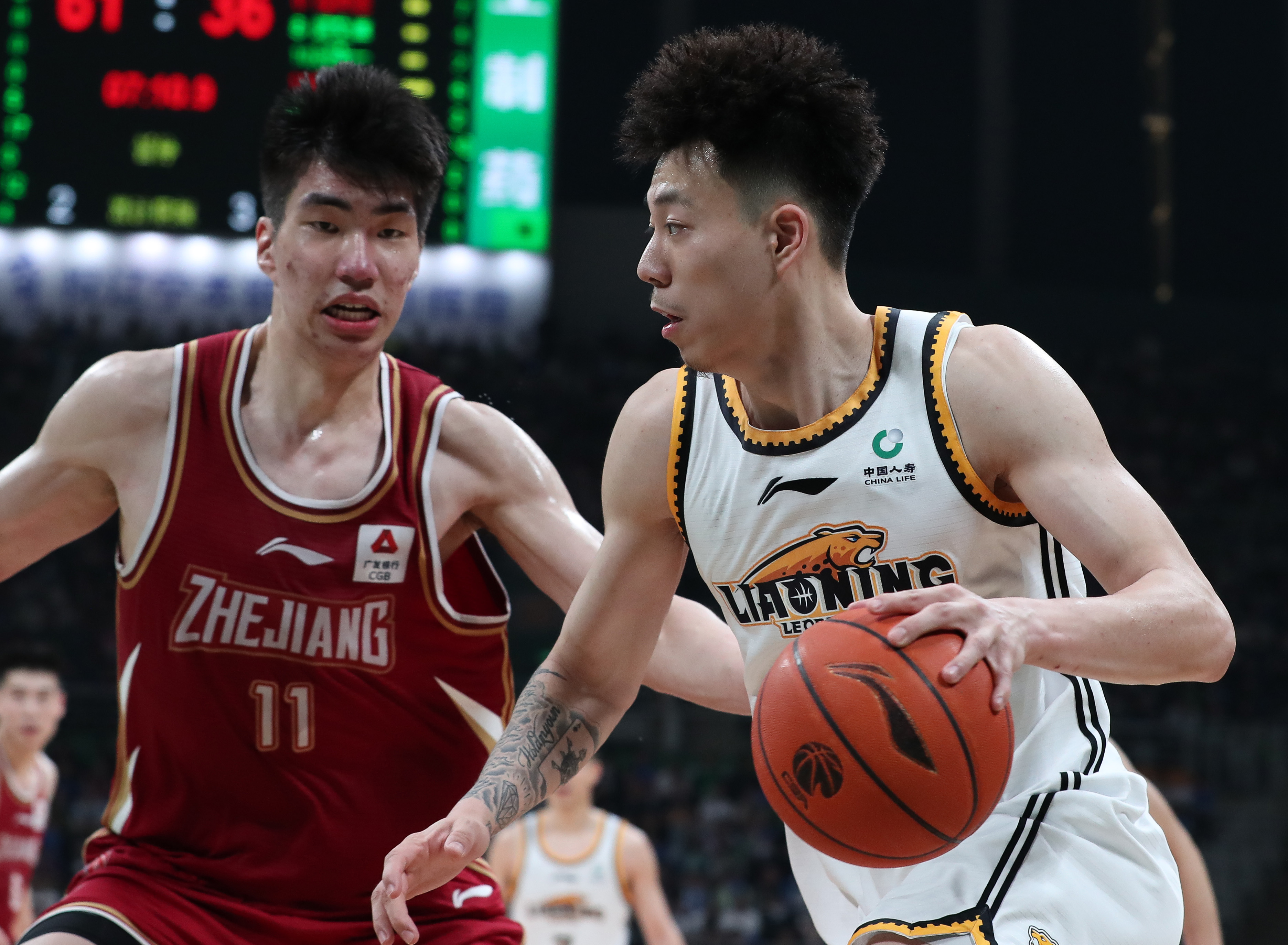体育篮球cba,浙江稠州金租vs辽宁本钢直播