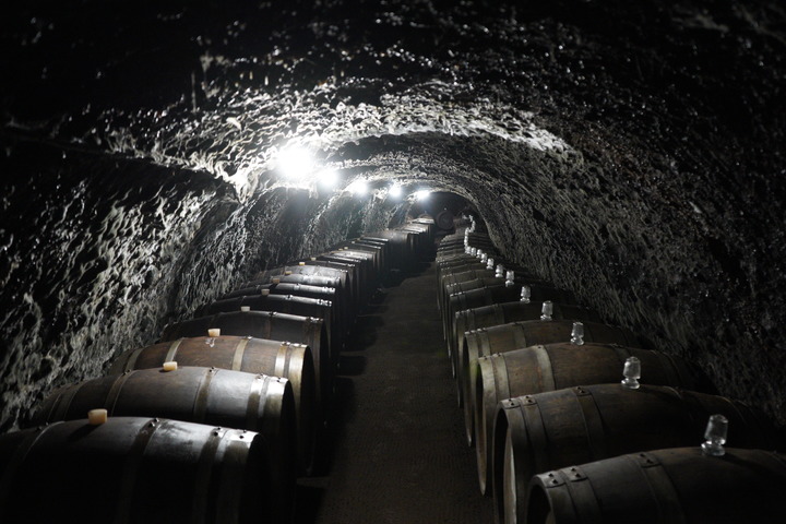 全球连线视频,全球连线拉美多国