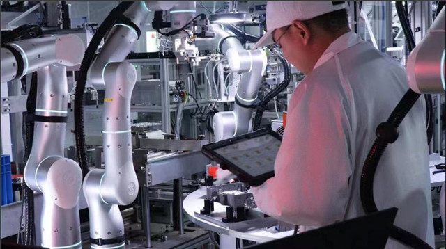 2023年一起向未来作文,向未来上海