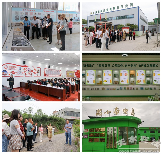 电子商务进农村示范项目预算,电子商务进农村示范项目资金使用