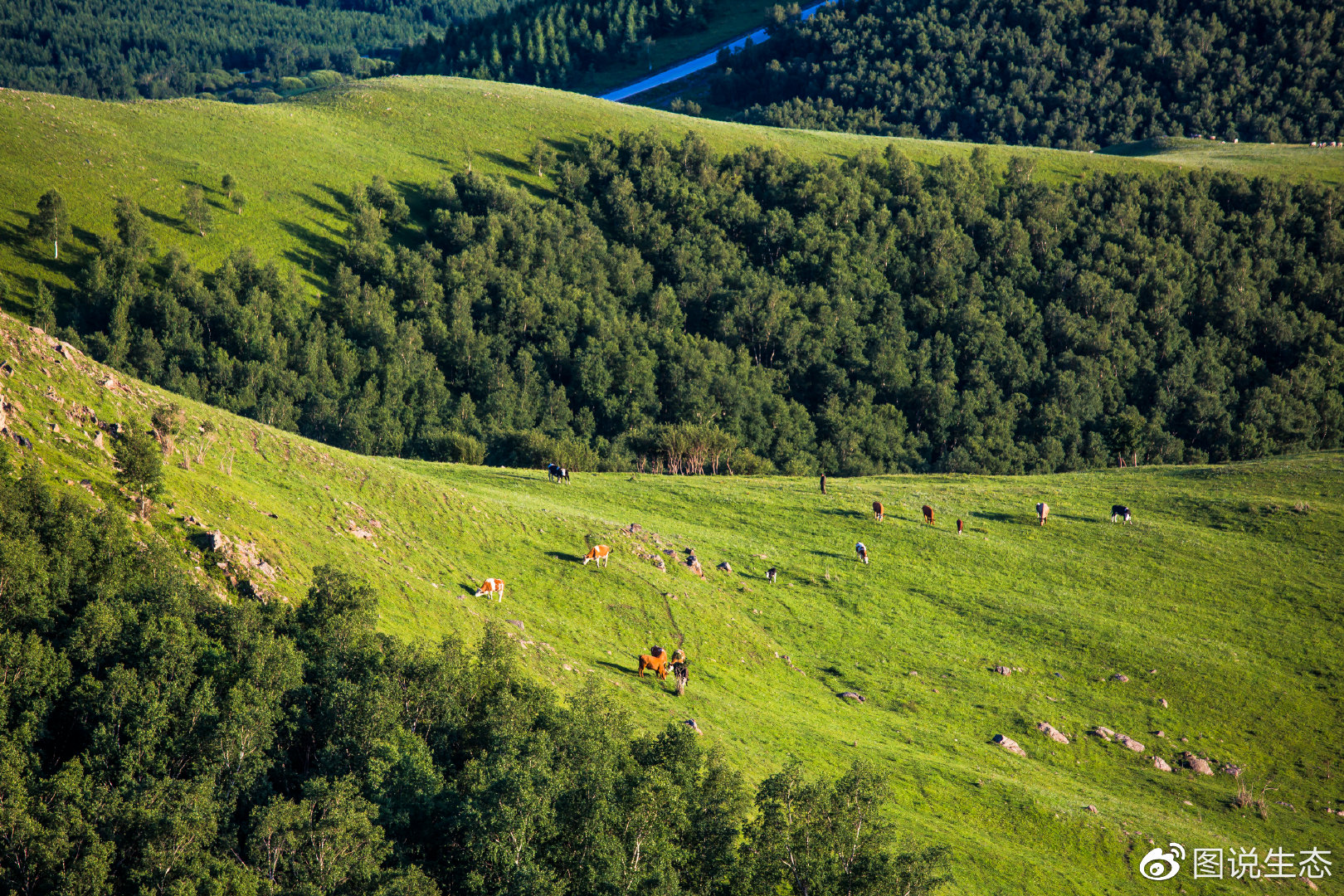 在京北第一天路看遍坝上美景,坝上草原最美天路