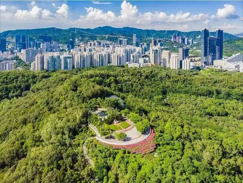 青春之城合集,青春之城后续