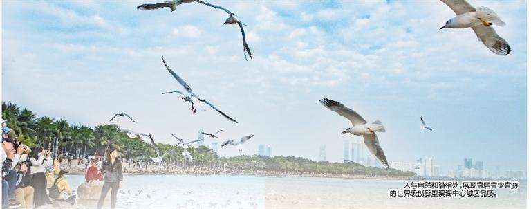 南山以拼搏实干书写高质量发展答卷