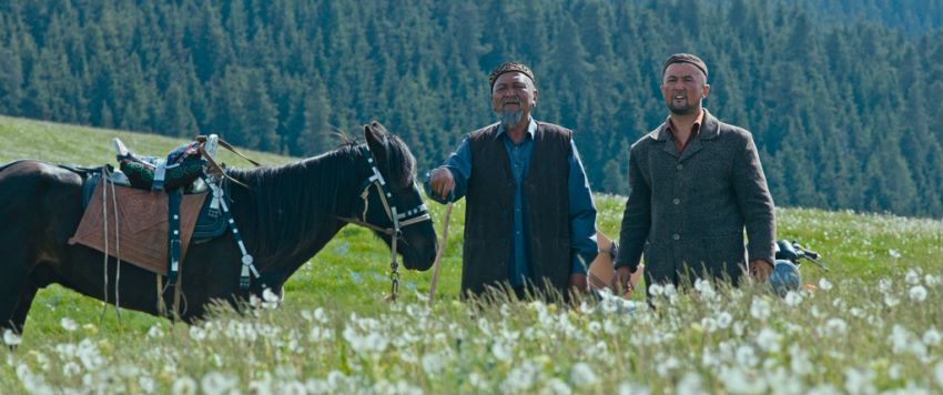 每个故事背后都很感人,每个故事都是很真实的