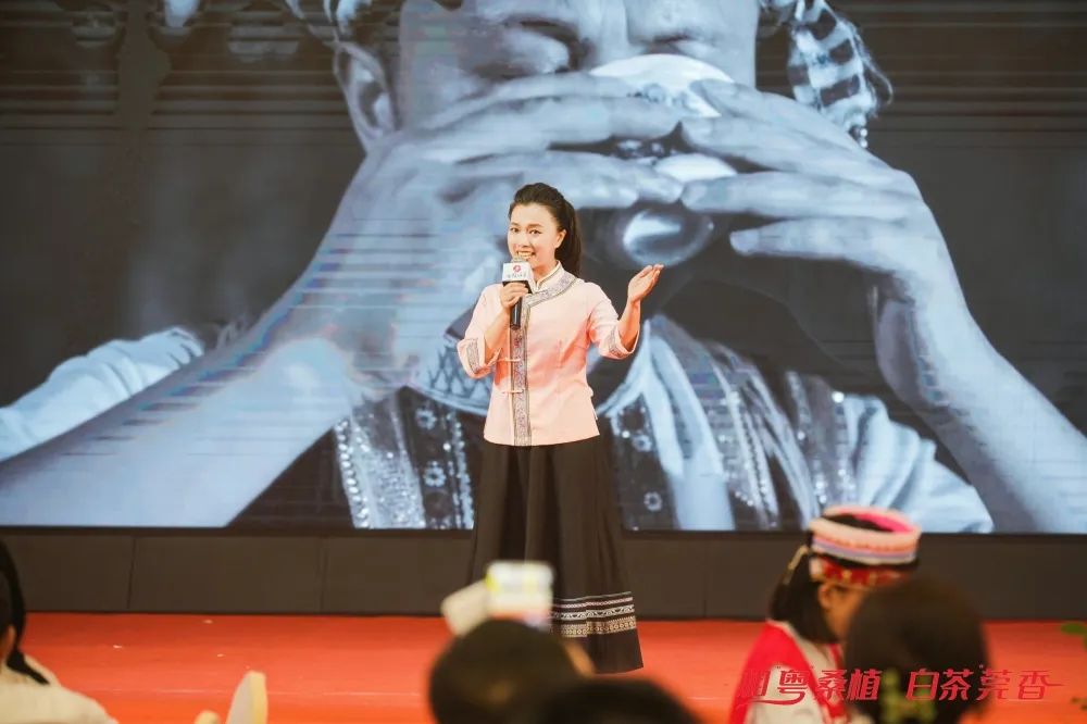 东莞藏茶之都值得收藏的十款茶,藏茶之都茶叶