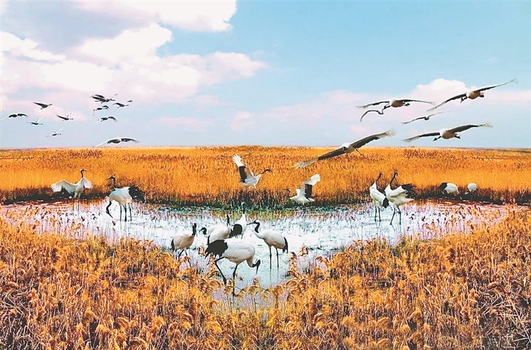 外来企业在龙江丨投资回家乡创业鹤之海