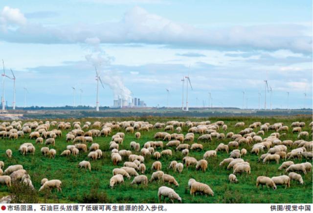 市场波动投资求稳,国际投资最新发展趋势