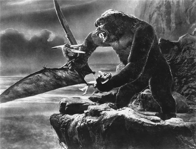 电影频道环球影院,电影金刚精选视频