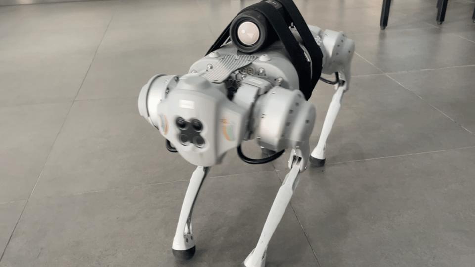 杩藉厜鐨勬満鍣ㄤ汉,杩借鏈哄櫒鐙椾簹杩愪細