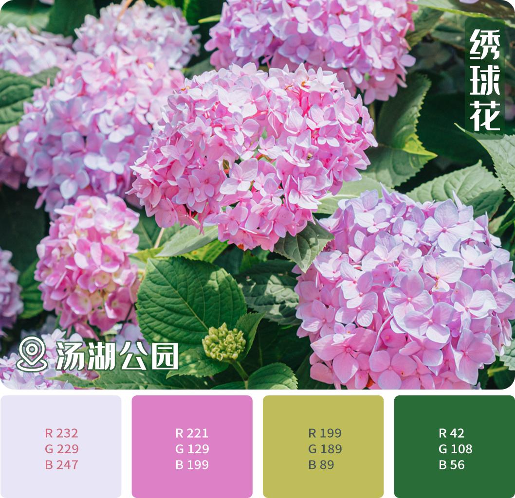 武汉经开区车谷中心城,武汉经开区车谷科技产业园