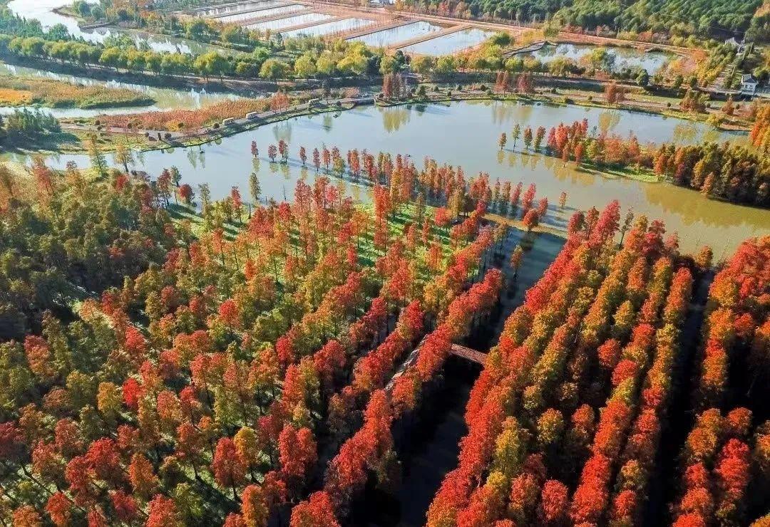 热浪来袭！沪上这6处避暑纳凉天堂，凉爽宜人风景如画，是夏天该去的地方