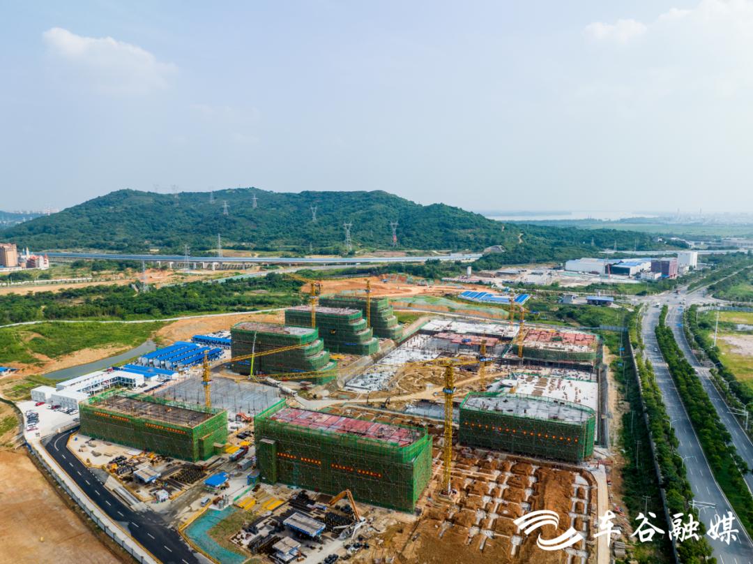 理工大三院建设进展,武汉理工三院项目